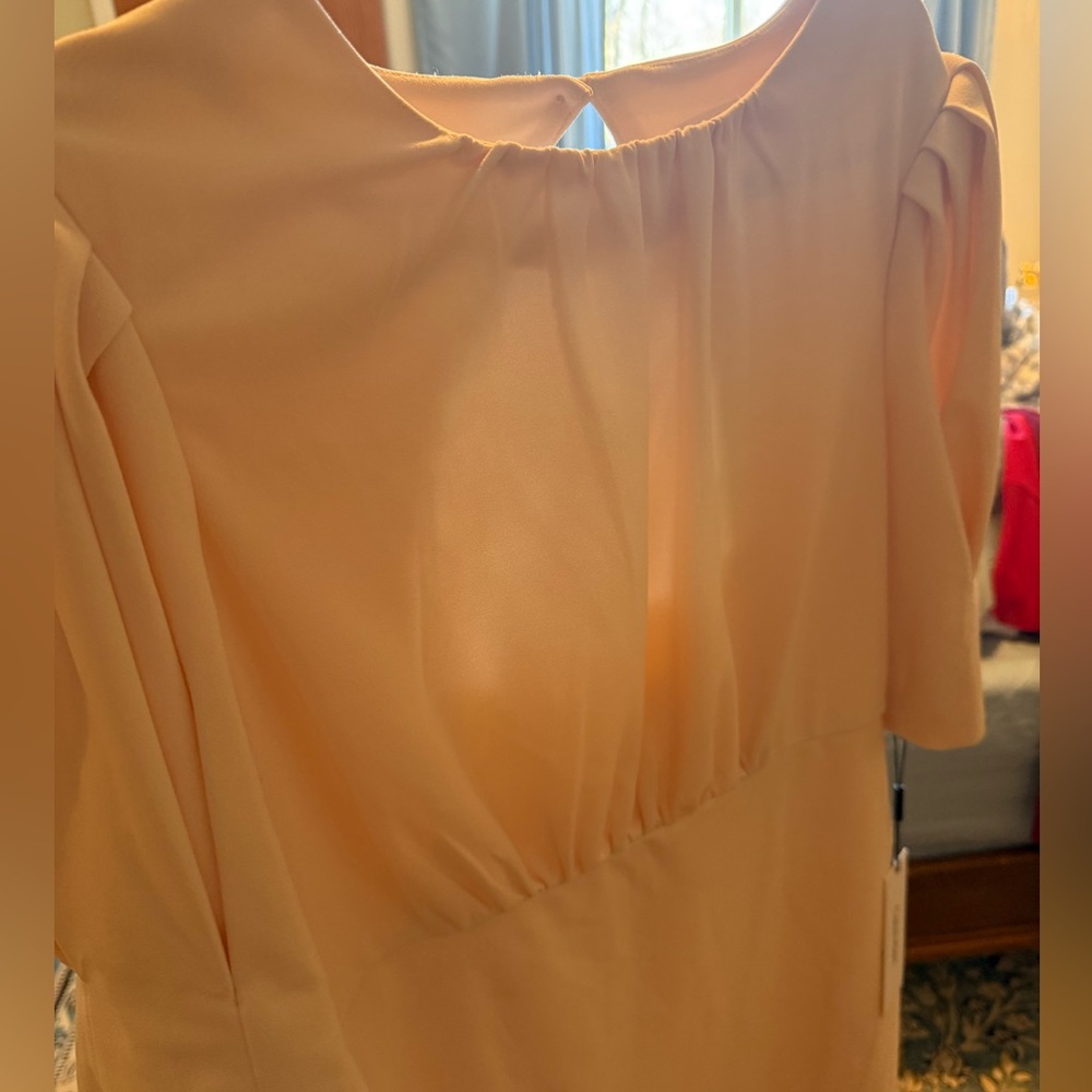 Women’s size 16 Calvin Klein Blush Pink Dress - Picture 2 of 6